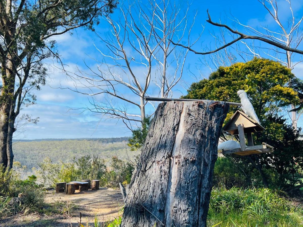 Canyon Cottage Majestic View Blackheath Exterior photo